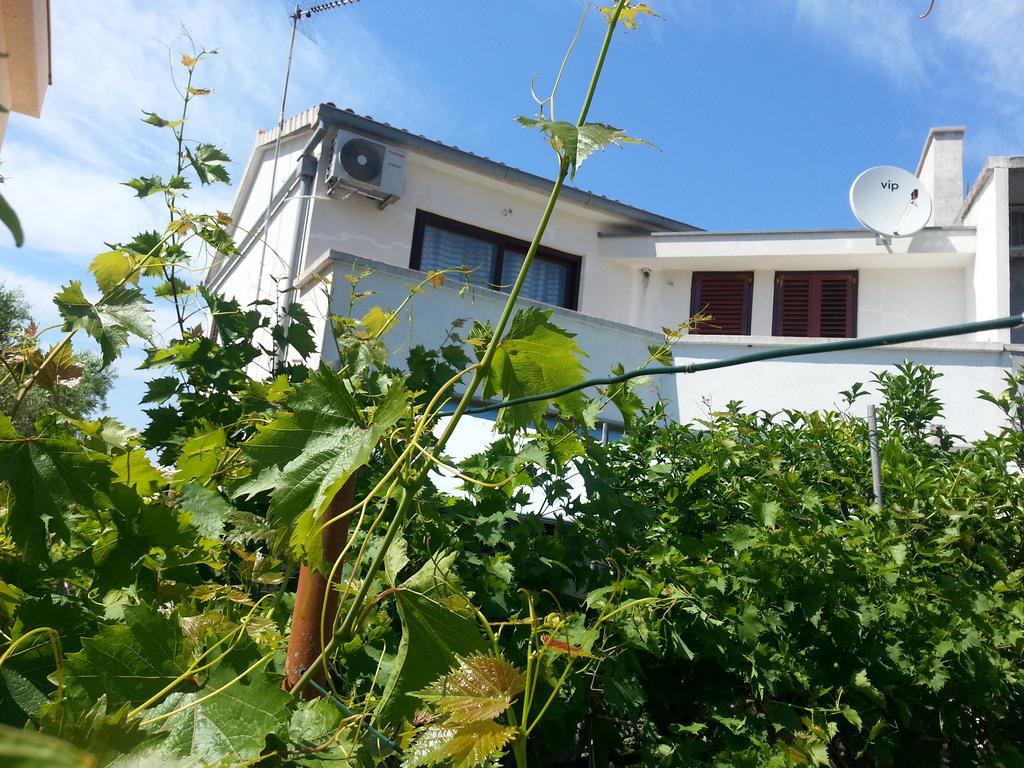 Apartments Maslina Bozava Phòng bức ảnh